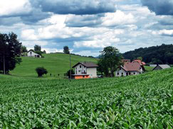 Houses and land